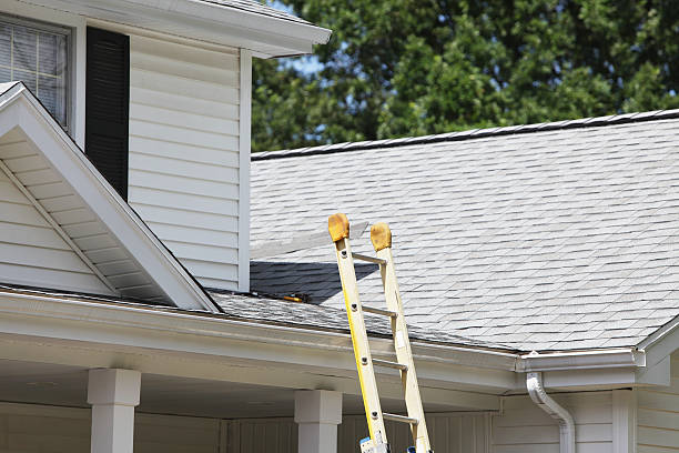 Best Steel Siding Installation  in Tysons, VA